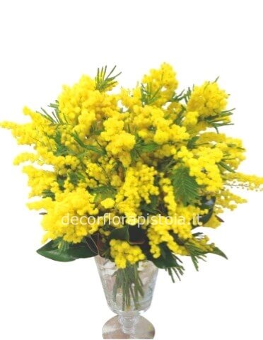 Bouquet di mimosa con prezzo a scelta.
