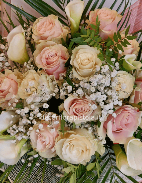 rose rosa e bianco