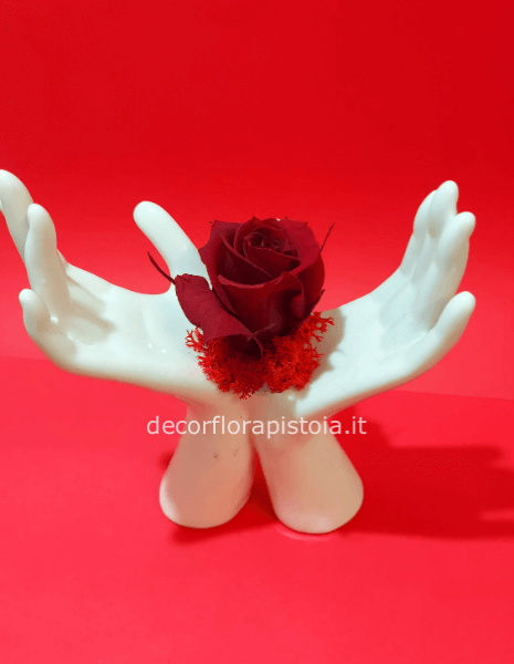 Mani con rosa stabilizzata 