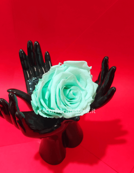 3 mani con rosa stabilizzata 