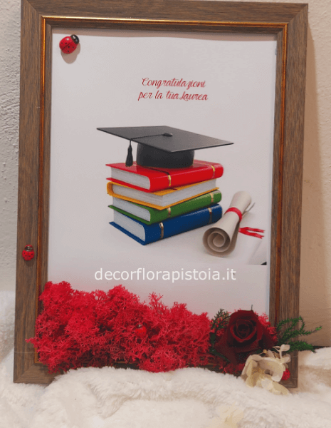 Quadro laurea con rosa stabilizzata 