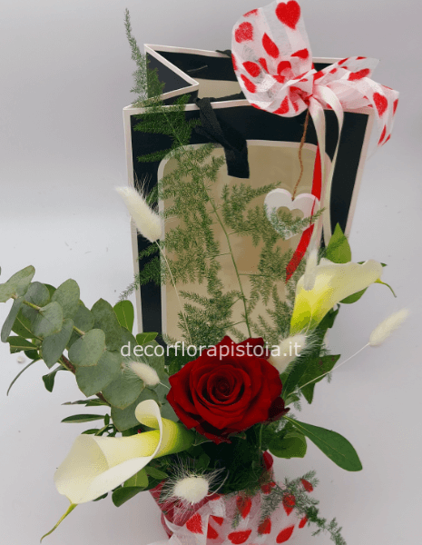 Rosa in borsa con la finestra