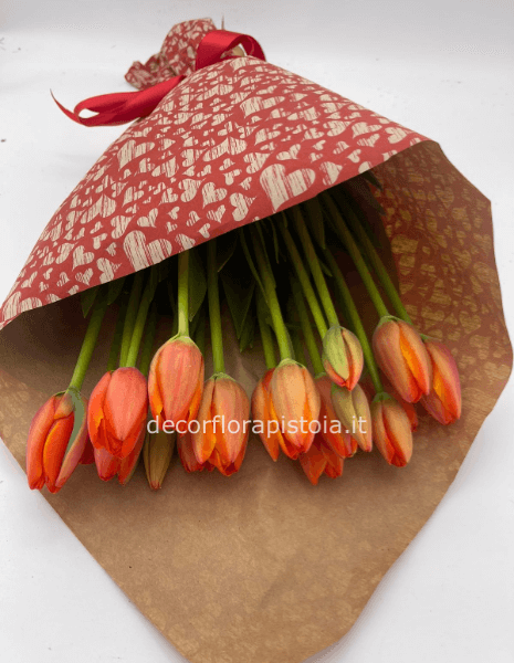 Tulipani rossi