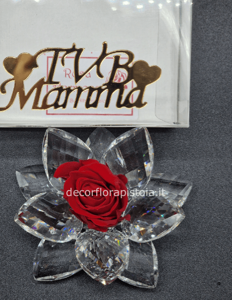 Tvb mamma
