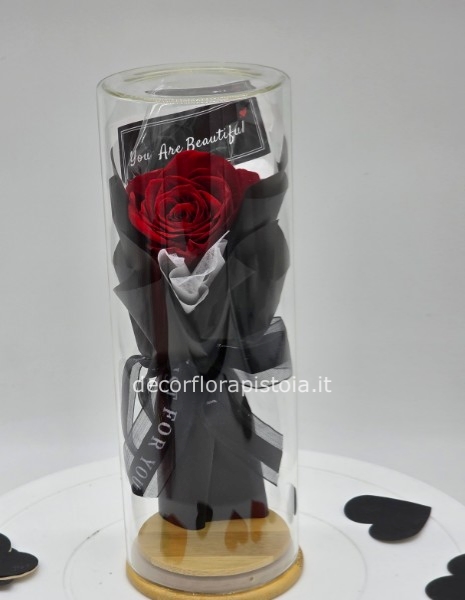 Rosa stabilizzata in coppola di vetro