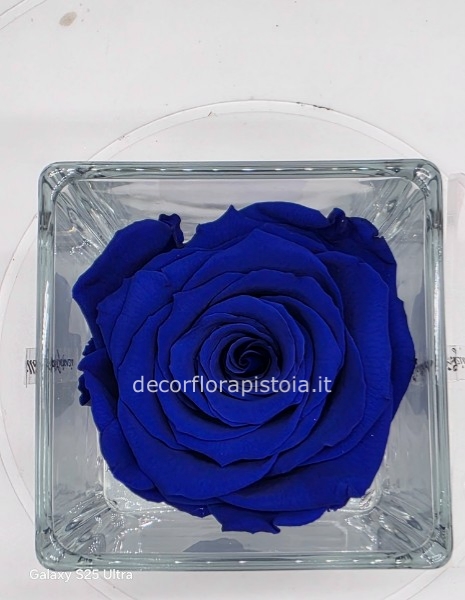 Cubo vetro con rosa stabilizzata 